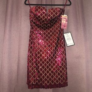 NWT! Scarlet Sequined Cocktail Dress